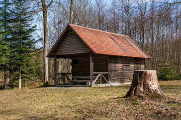 Hiking in spring through a forest in Upper Swabia