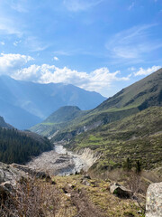 Beautiful mountain landscape with forest, meadow and green grass in the foreground.