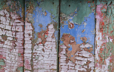Old cracked boards with peeling and cracked white, pink, green and blue oil paint. Vintage background with remnants of old coatings of different colors.