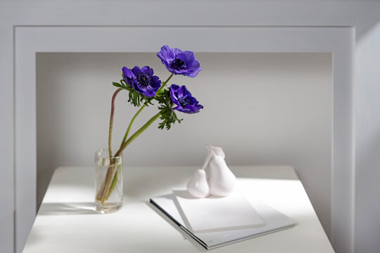 Three blue anemone in a transparent vase on a white table near the fireplace. Two notebooks and a figurine of two pears. All in white.