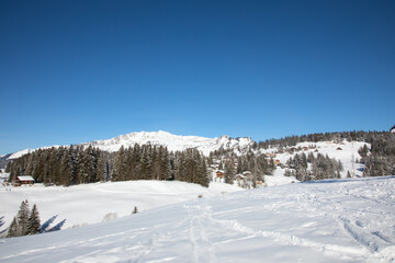 Winter in alps