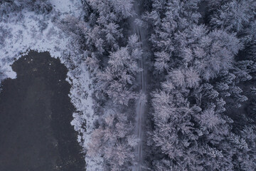 Winter, snow covered forest treetops. Rural landscape. 