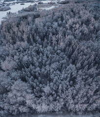 Winter, snow covered forest treetops. Rural landscape. 