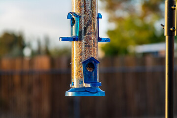 A blue bird feeder in a residential backyard