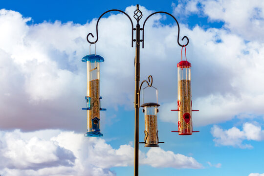 Three Bird Feeders Hanging From A Pole