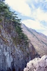 landscape in the mountains
