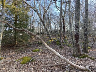 War Spur Trail - Giles County, VA