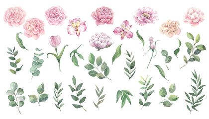 Set of watercolor elements with roses and peonies for decoration.