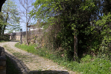 Fototapeta premium Typical street and old houses at historical village of Bozhentsi, Bulgaria
