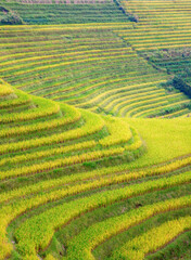 Longji Rice Terraces