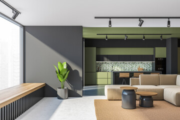 Green and gray living room and kitchen - obrazy, fototapety, plakaty