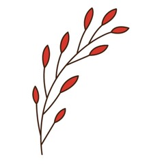 Abstract twig with red leaves. A blade of grass. Autumn time. Botanical, plant design element with outline. Doodle, hand-drawn. Flat design. Color vector illustration. Isolated on a white background.