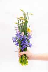 Spring flowers on white background