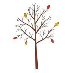 A bare tree with fallen leaves. Botanical, plant design element with outline. Doodle, hand-drawn. Flat design. Color vector illustration. Isolated on a white background.