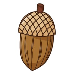 Oak acorns. A symbol of the forest, autumn, and harvest. Botanical design element with outline. Doodle, hand-drawn. Flat design. Color vector illustration. Isolated on a white background.