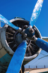 Blades of an old plane