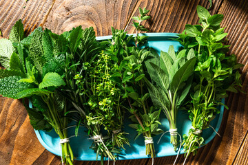 Fresh Aromatic Herbs. Culinary Home Grown Plants. Seasoning and Healthy Eating