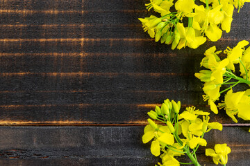 Colza flower. Yellow rape flowers for healthy food oil on wooden background. Rapeseed plant, Canola rapeseed for green energy. Brassica napus flowers.