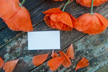 Red poppies on rustic wooden background with empty space white business card