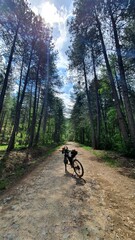 Naklejka premium person riding a bike in the woods