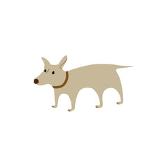 Vector image of an gray dog on white background