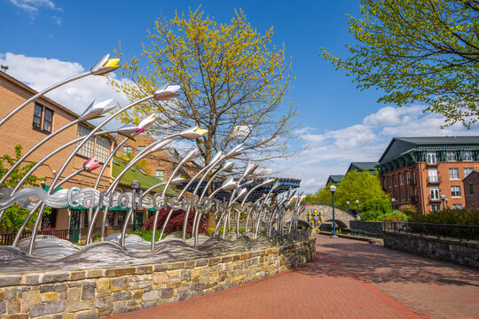 Frederick, MD - April 19, 2021: "Water Lily Waves" stainless steel sculpture by Thomas Sterner is located in Caroll Creek Park downtown.