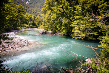 Turquoise river in the forest, during summer, in Chubut, Patagonia Argentina