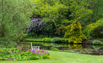 Fototapeta na wymiar Variety of colourful flowers grow around the lake at the John Lewis Longstock Park Water Garden, Hampshire UK