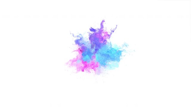 Color Burst - colorful purple, blue, pink small smoke powder explosion fluid. Ink particles slow motion. Alpha matte isolated on white