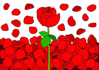 rose red flower and rose petals design on a white background vector illustration