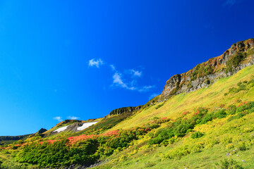 大雪山国立公園高原温泉沼めぐりコースの紅葉