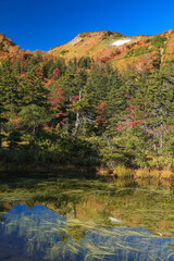 大雪高原沼めぐりの紅葉（土俵沼）