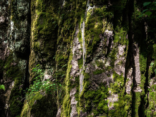 Nideck waterfall near the ruins of the medieval castle in Alsace