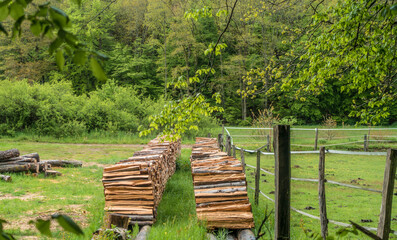 Feuchtes Brennholz vom Regenwetter