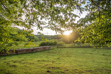 Feuchtes Brennholz vom Regenwetter © focus finder