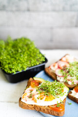 Varied breakfast, appetizer wholegrain bread sandwiches, toasters with cream cheese, radish, avocado, tomatoes, shrimp, egg, micro greens on a light background, top view, vertical photo