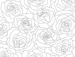 Obraz premium Rose Line Art Outlined Elegant Background Vector Fully Editable Strokes - Black Lines and White Background