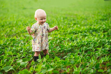 Happy girl on the field with young soybean sprouts. A green field with plants. child walks in the summer near the soy in rubber boots.