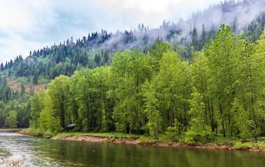 Cabin in trees by Coeur d'Alene river Idaho