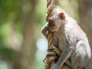 Staring off into space