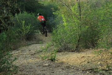 Obraz premium cyclist on a road with bushes