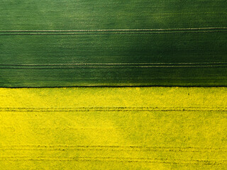 Agricultural field forming patterns 
