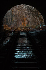 Fototapeta na wymiar Overgrown train tracks and tunnel