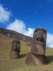 Moai broh