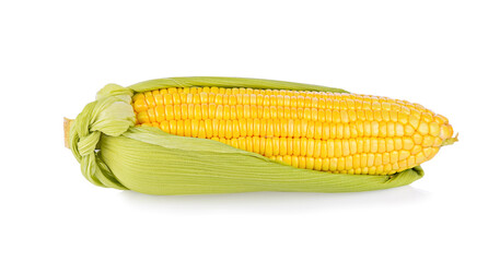Fresh corn sweet on white background
