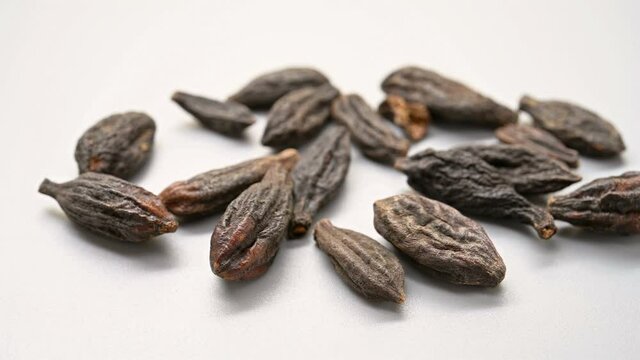 angle pan view herb XiQingGuo or Chebulae Fructus Immaturus or Immature fruit of Medicine Terminalia
