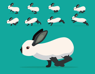 Animal Animation Sequence Rabbit Californian Cartoon Vector
