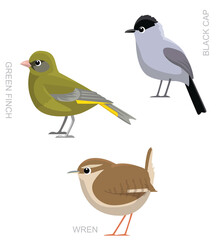 Bird UK Wren Black Cap Set Cartoon Vector Illustration