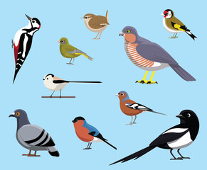 UK Birds Magpie Pigeon Finch Set Cartoon Vector Illustration