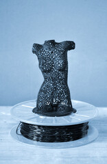 Automatic three dimensional 3d printer performs plastic.